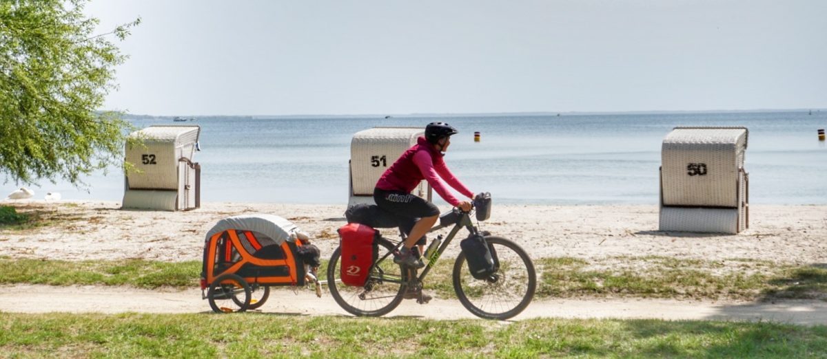 Radtouren mit Hund - Mecklenburgische Seenplatte und Ostseeküste